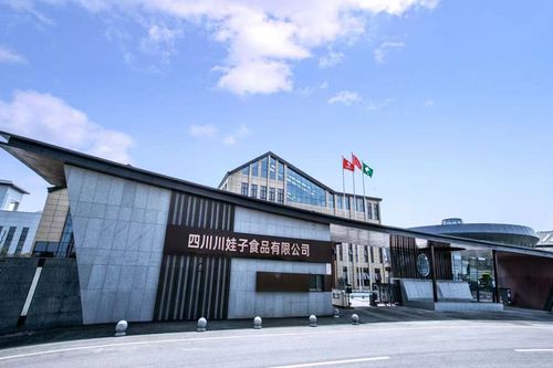 百位行業(yè)代表齊聚川娃子 共話食品智造新味來，明星工廠引領(lǐng)行業(yè)升級